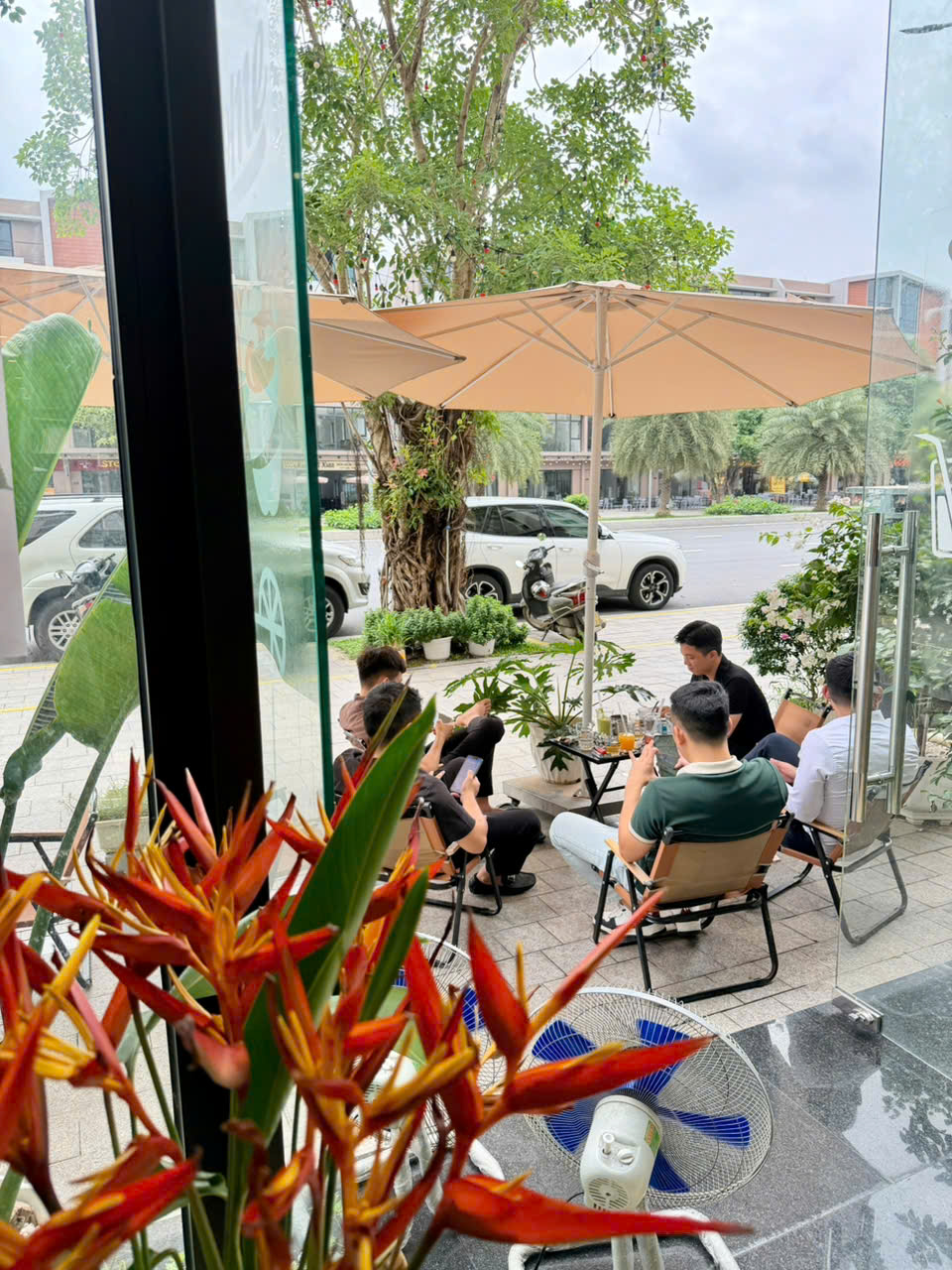 Image 11 of See Chill Tea & Coffee