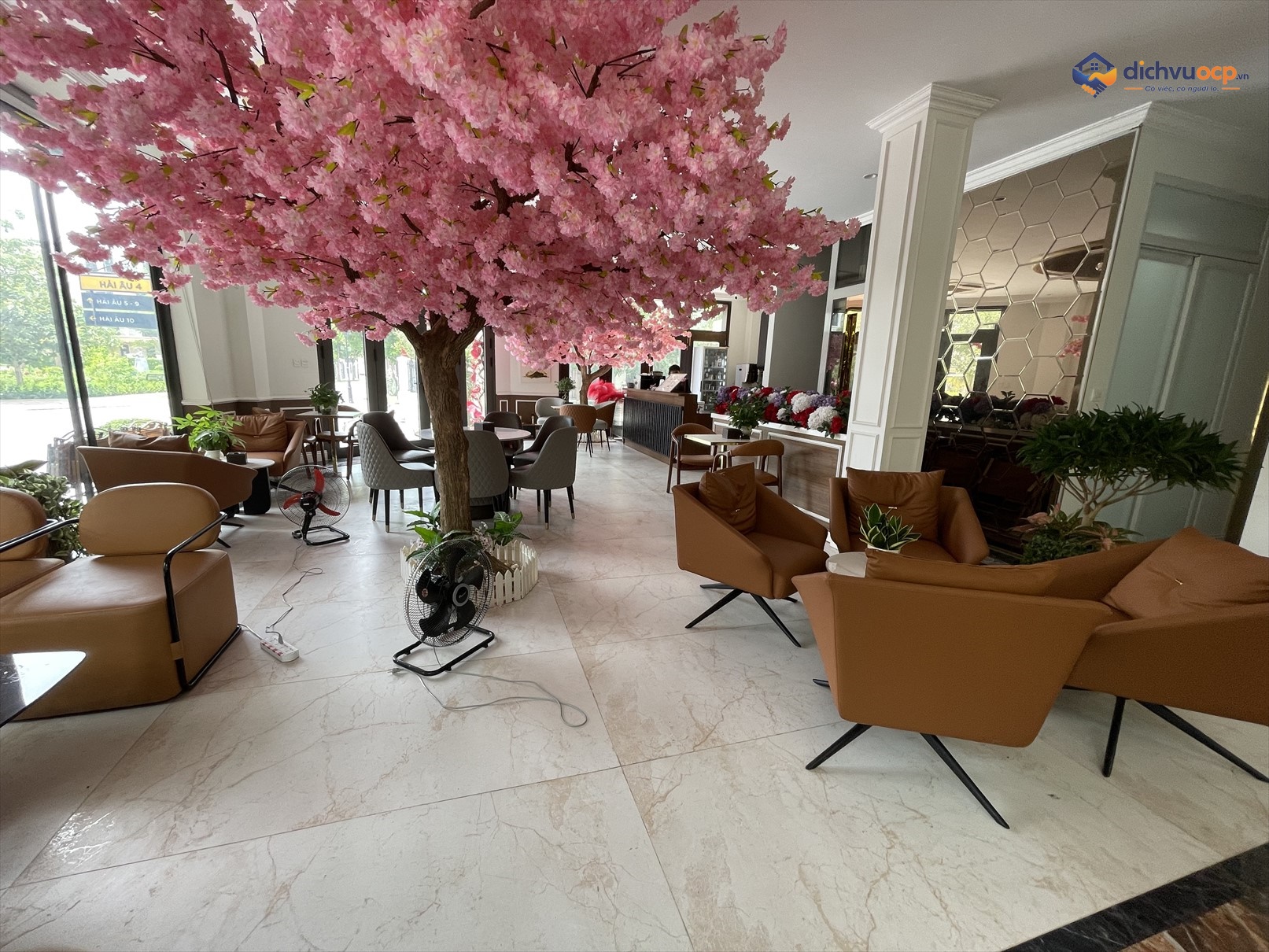 Image 6 of LAIKA Cafe